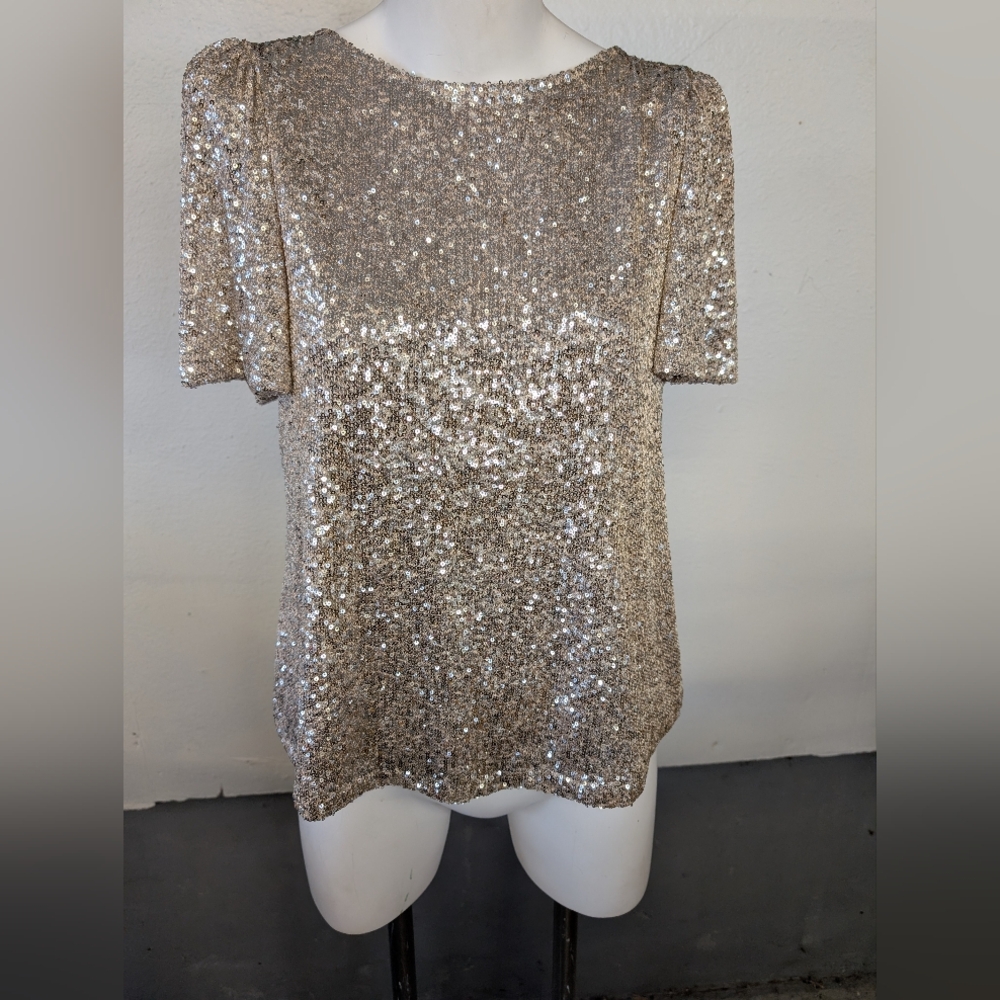 Silver Sequin Short Sleeve Top By Hillary Radley In Size S